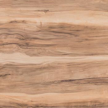 Индийское дерево 690