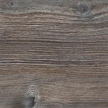 Сосна Пандероса 2057